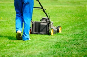 horticulture-services