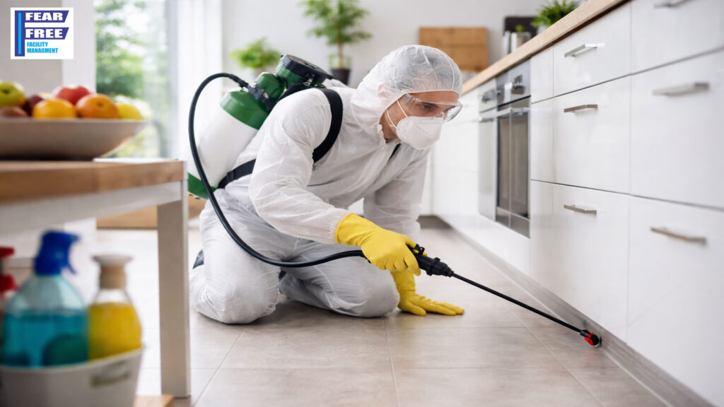 🐜 Why Regular Pest Control Is Essential for a Healthy Home