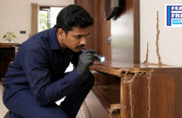 Signs You Need Immediate Termite Treatment