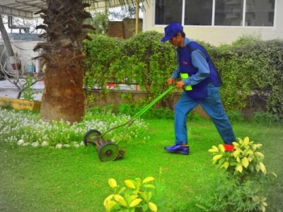 horticulture-services