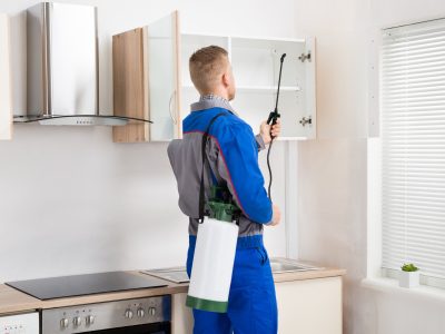 pest-control-mathura